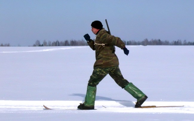 Лыжи для зимней охоты на тетерева